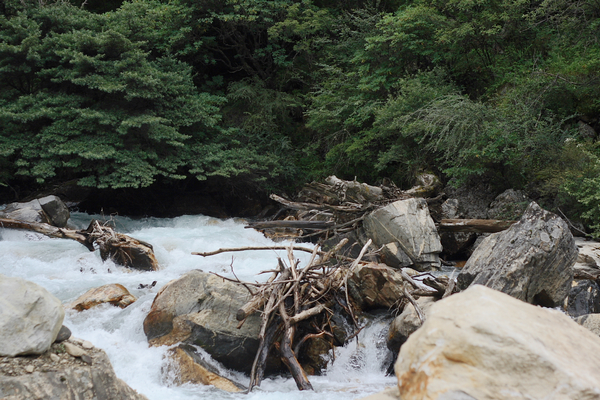 _MG_9759.jpg
