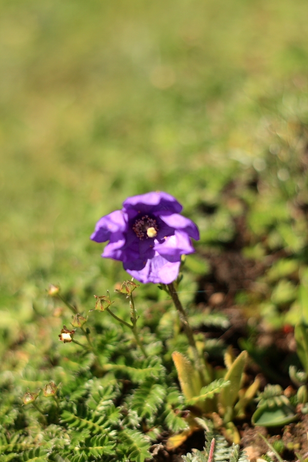 _MG_9786.jpg