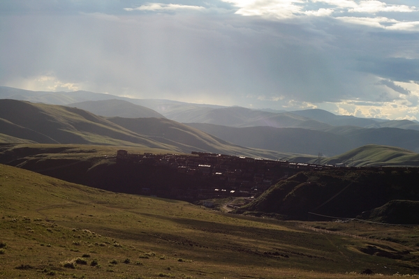_MG_9826.jpg