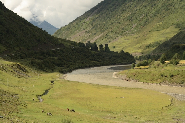 _MG_9843.jpg