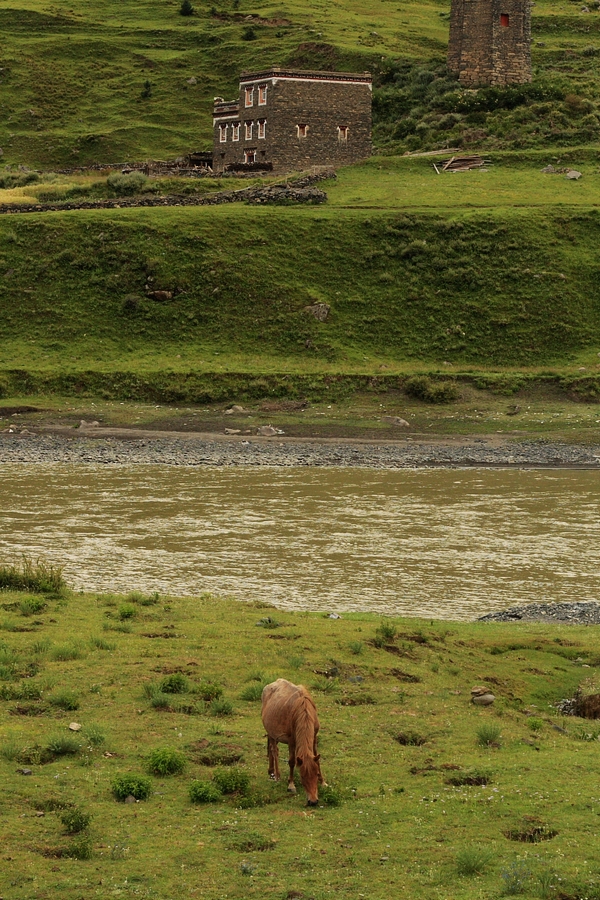 _MG_9835.jpg