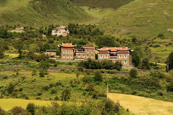 _MG_9842.jpg