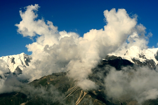 _MG_9913.jpg