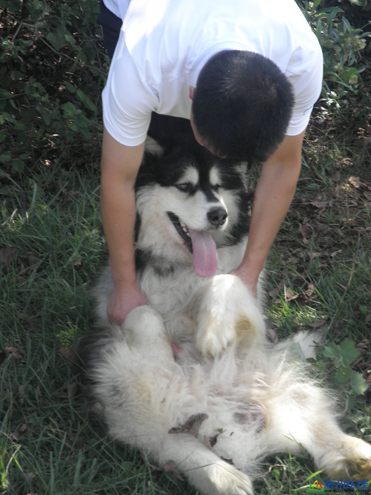 Happy