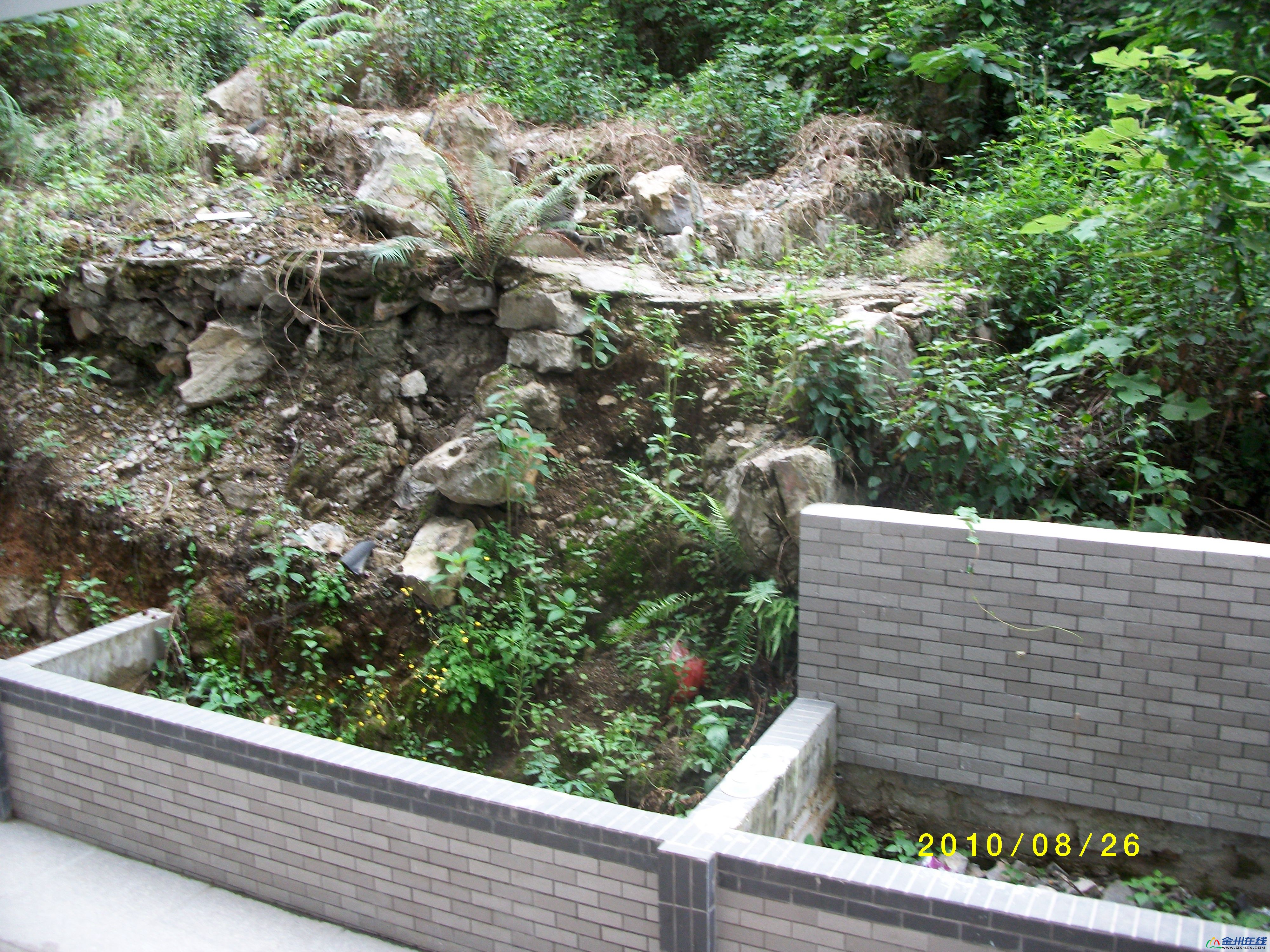 ALIM0932.JPG