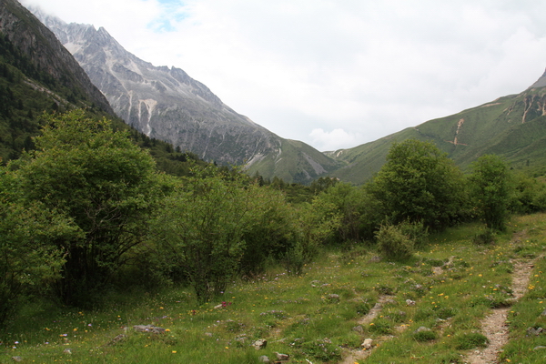 IMG_2100.JPG