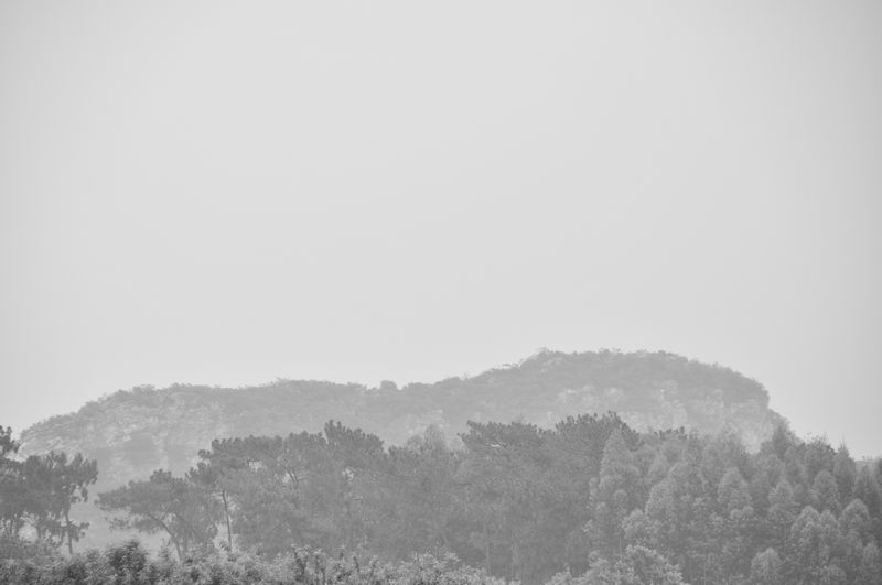 DSC_1114-1.jpg