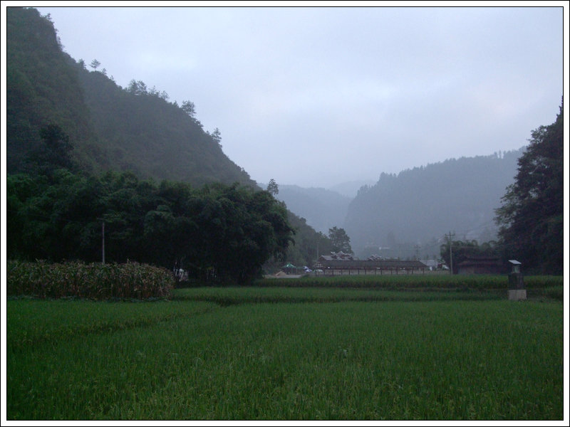 DSCF0110.jpg