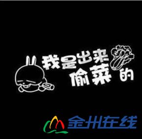 T1MqdwXb8bXXbSKNk7_065000.jpg_310x310.jpg