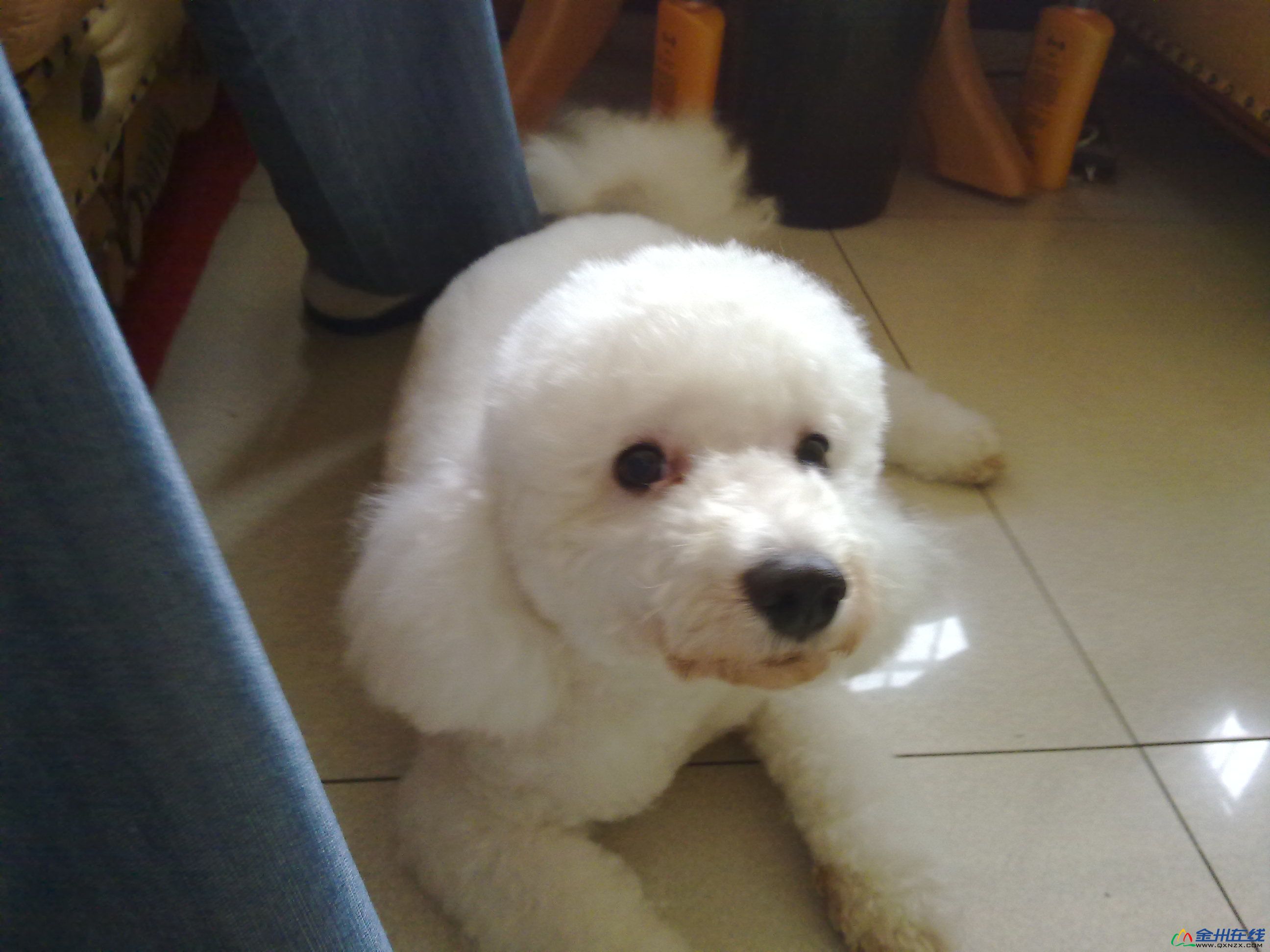 20100921011.jpg