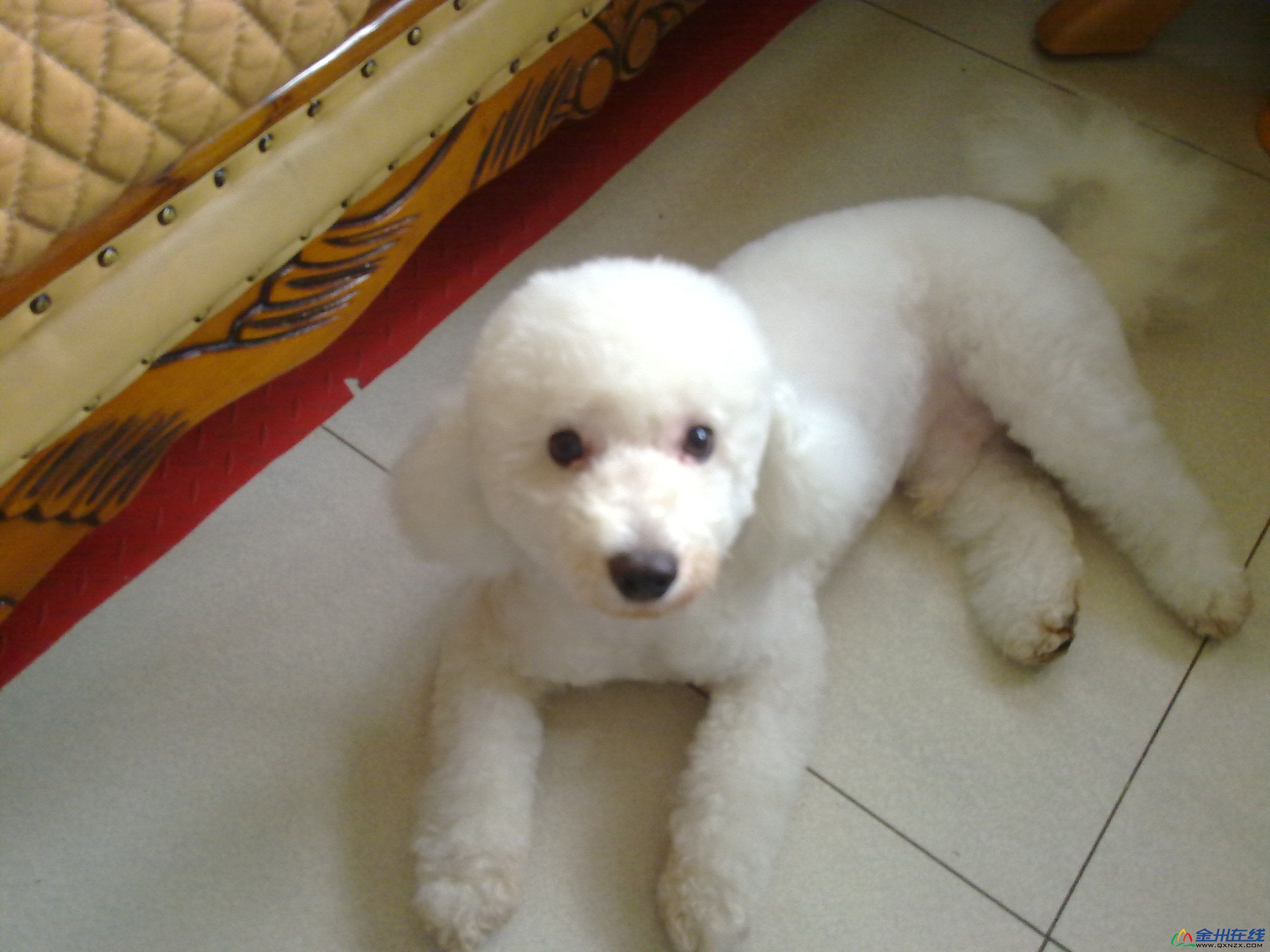20100921013.jpg