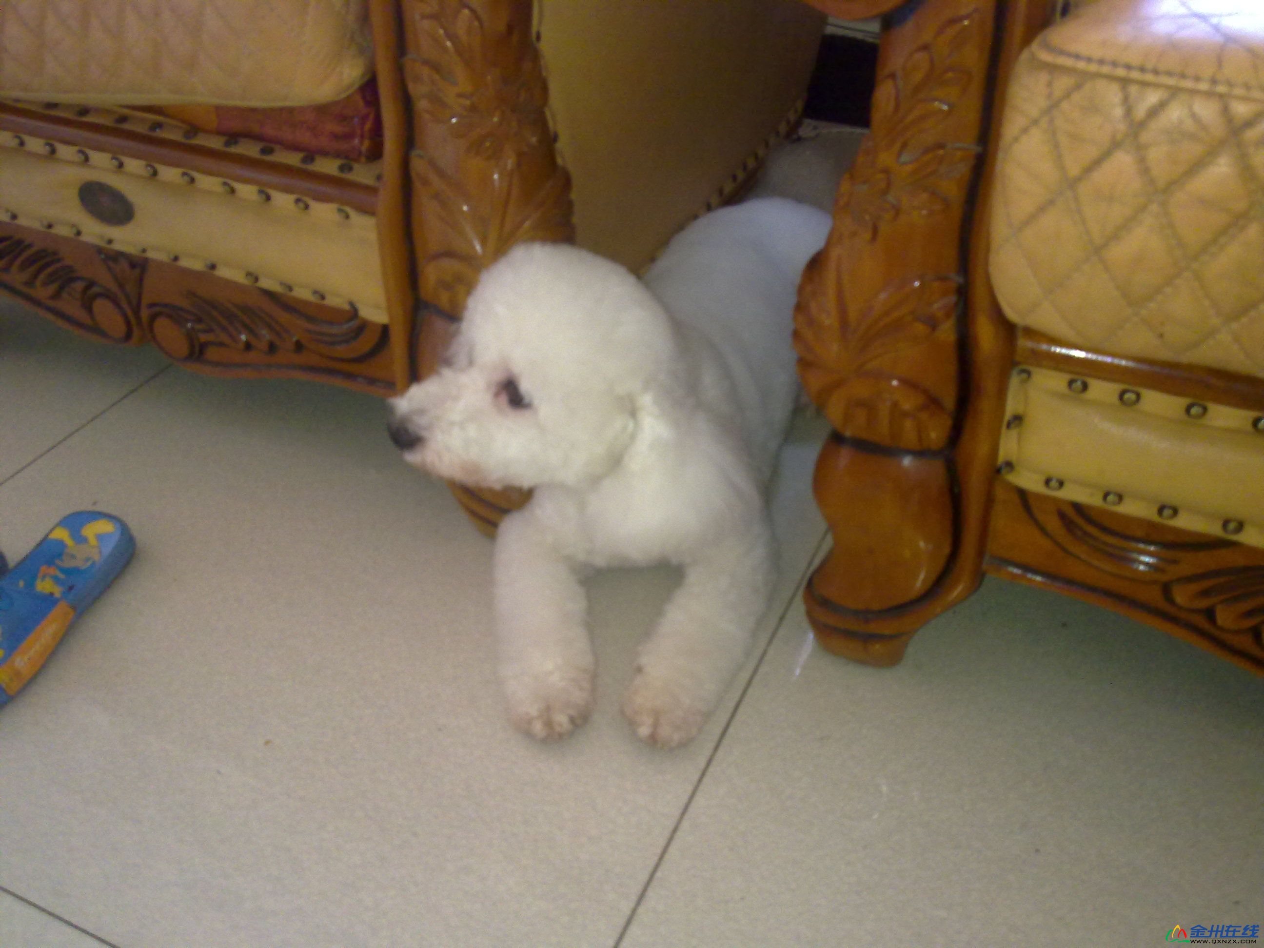20100921025.jpg