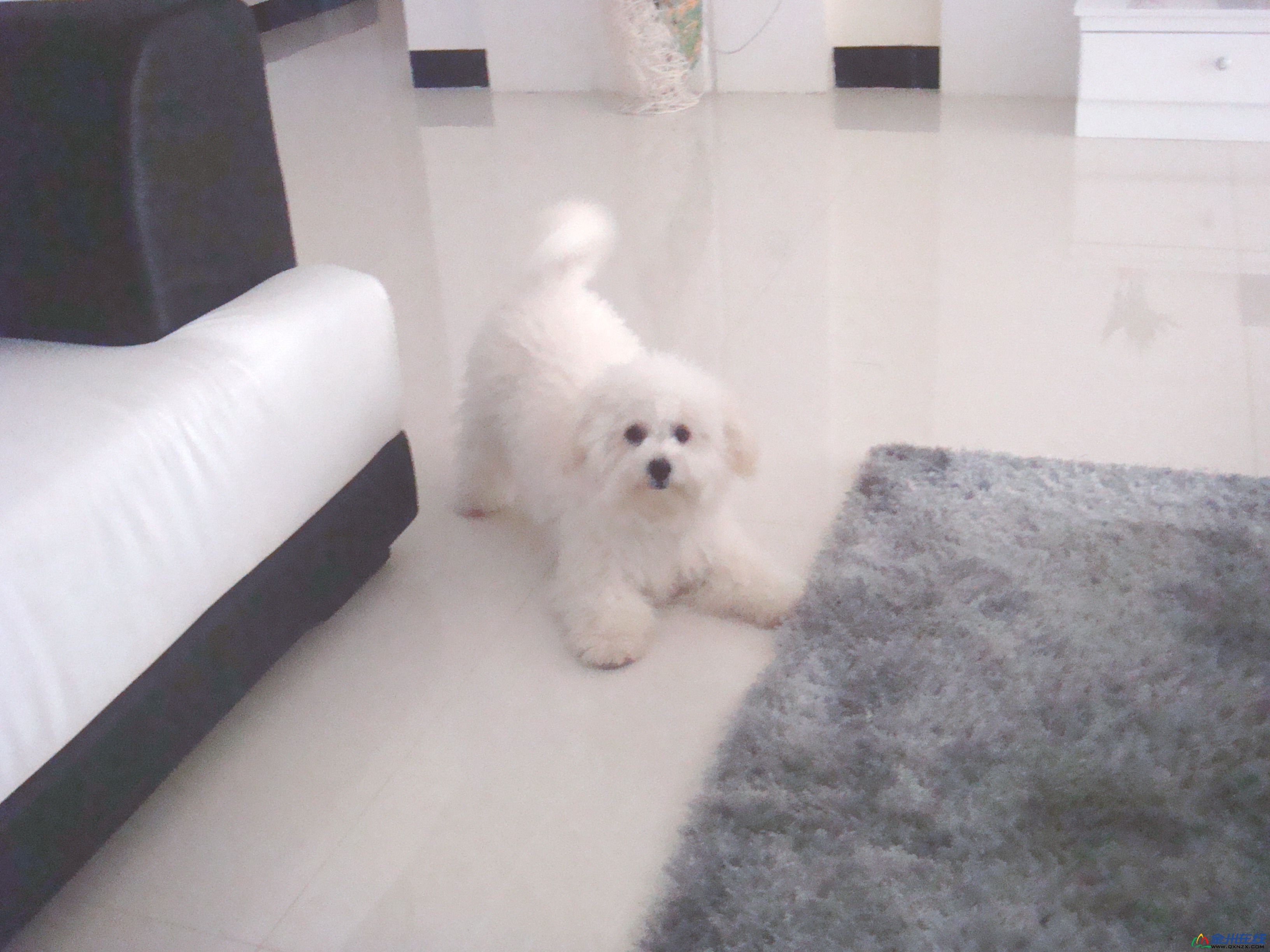 Ƭ 088.jpg
