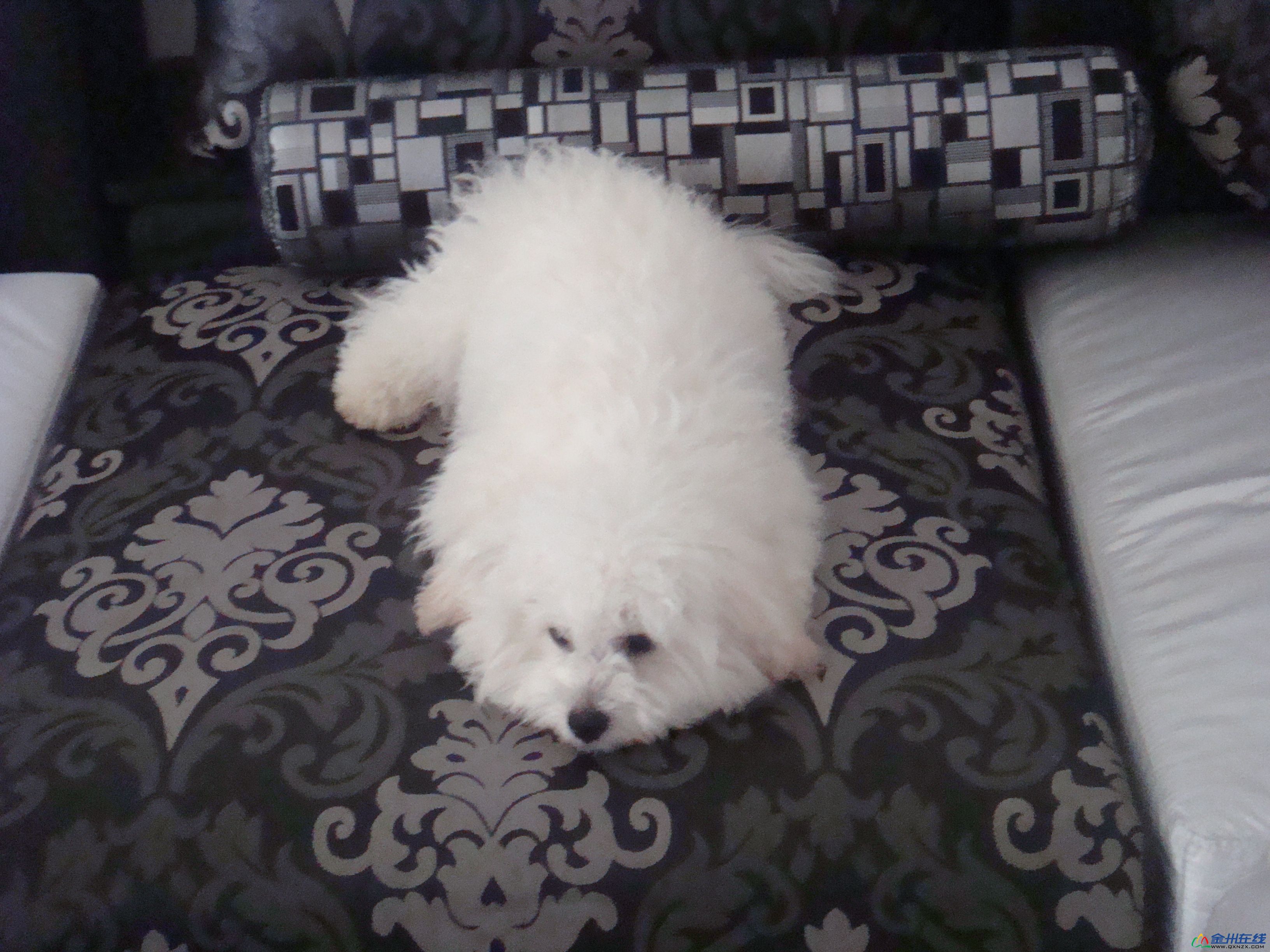 Ƭ 090.jpg