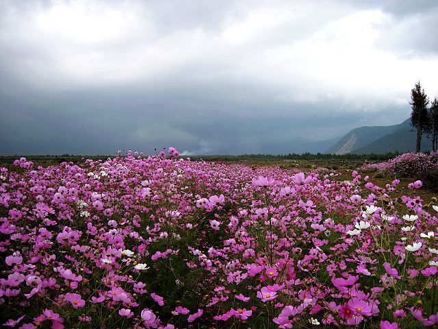 201010-16.jpg