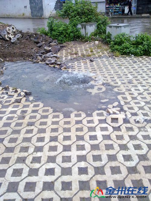 20101007029.jpg