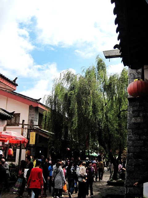 201010-21.jpg
