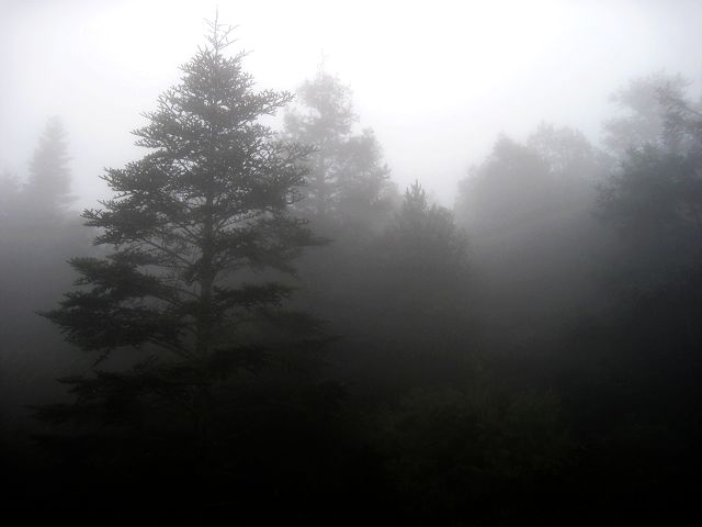 201010-35.jpg