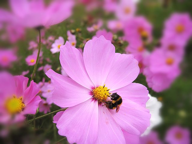 201010-15.jpg