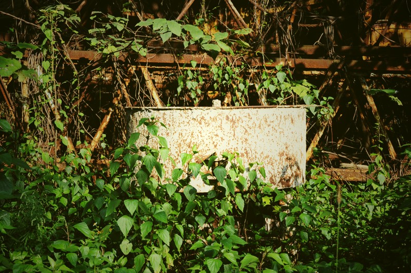 DSC_0551 _.jpg
