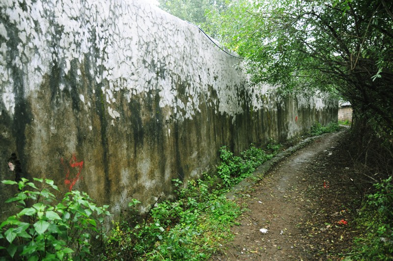 DSC_0043 _.jpg