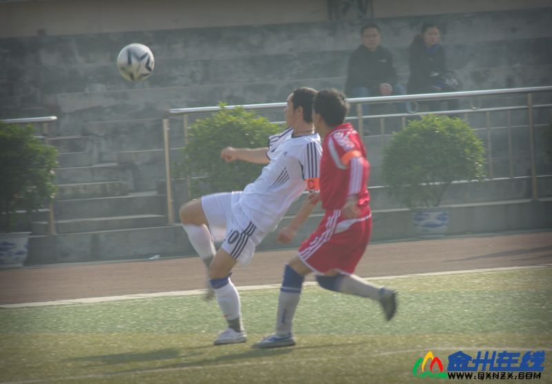 100202204434fee351edfe21b1.jpg