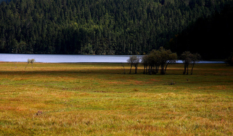 DPP_008.jpg