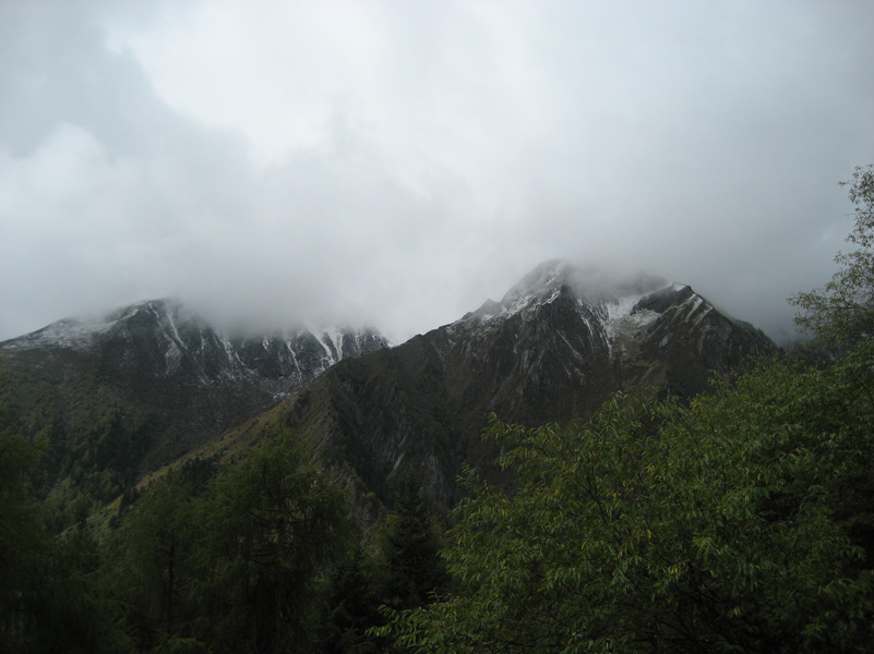 IMG_2004.jpg