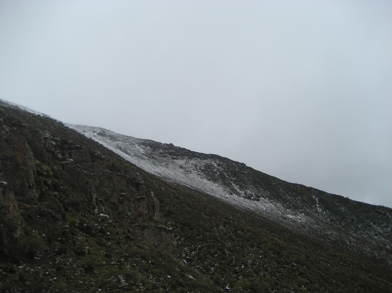IMG_2034.jpg