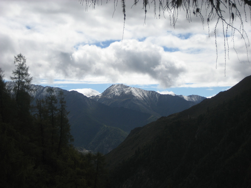 IMG_2084.jpg