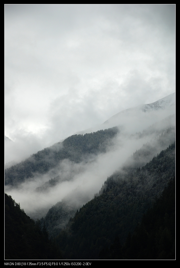 DSC_0120.jpg