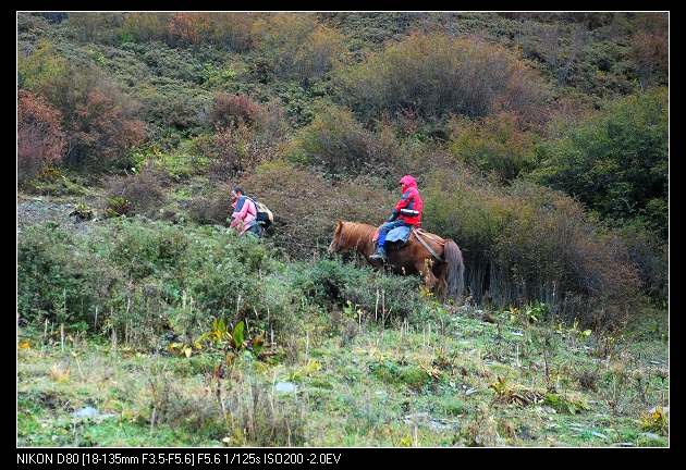 DSC_0209.jpg