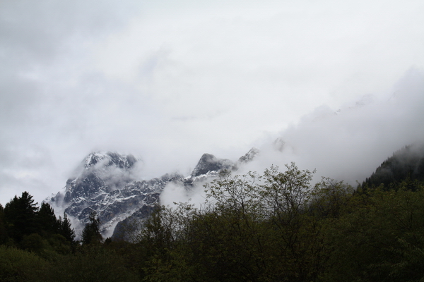 IMG_4708.JPG