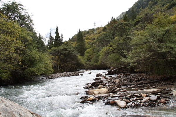 IMG_4712.JPG