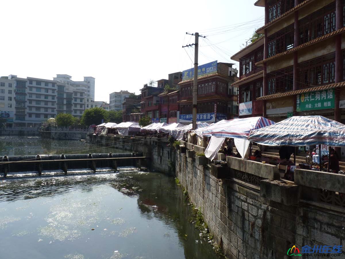 P1030041.jpg