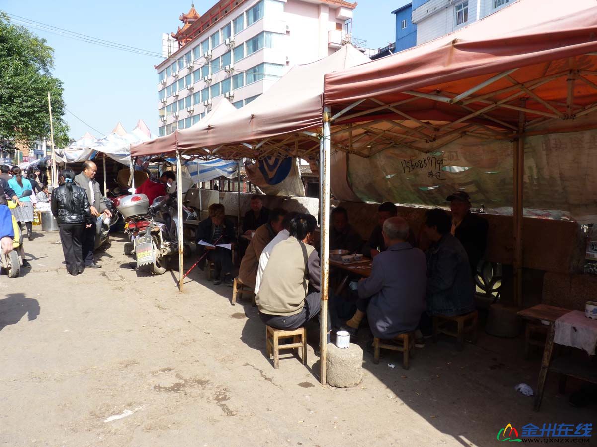 P1030043.jpg