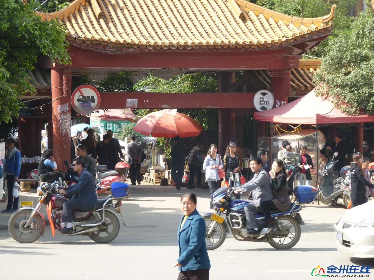 P1030055.jpg