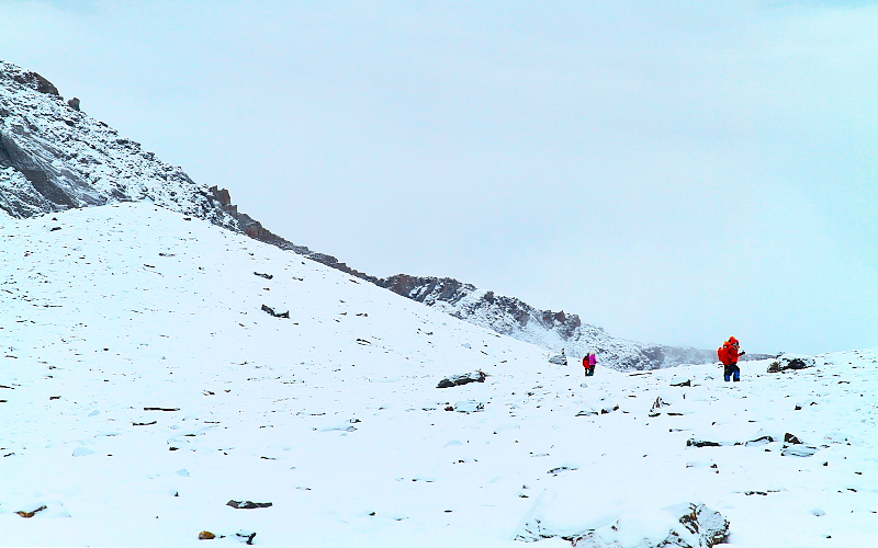 _MG_4470.jpg