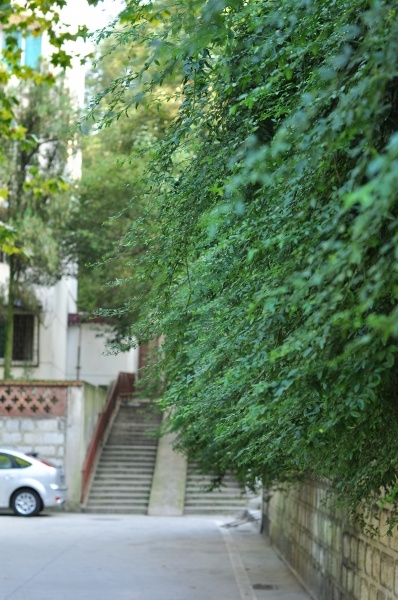 p_large_Wo78_1d47000888c65c42.jpg