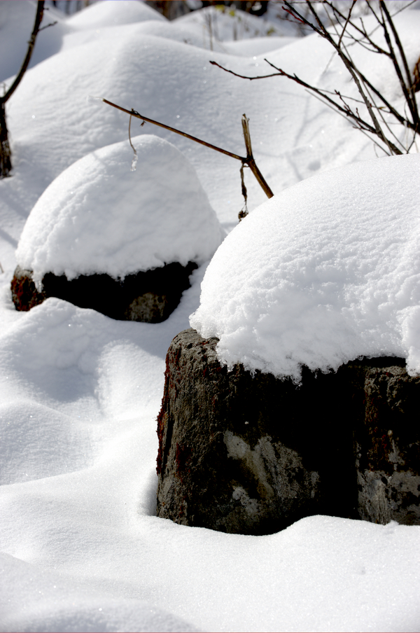 _DSC7048.jpg