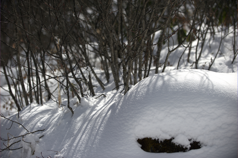 _DSC7054.jpg