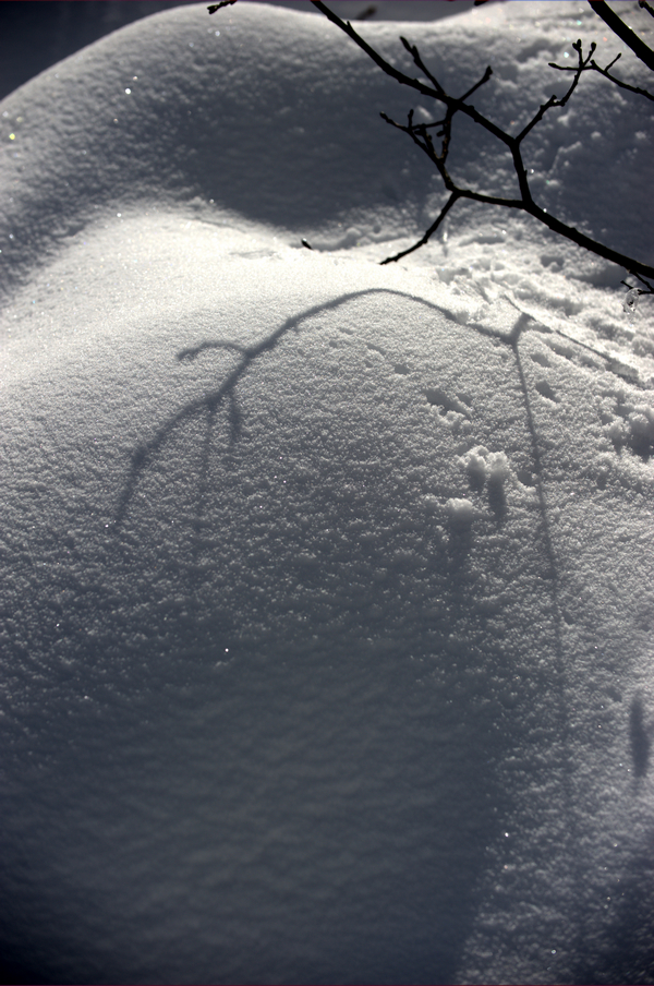 _DSC7070.jpg