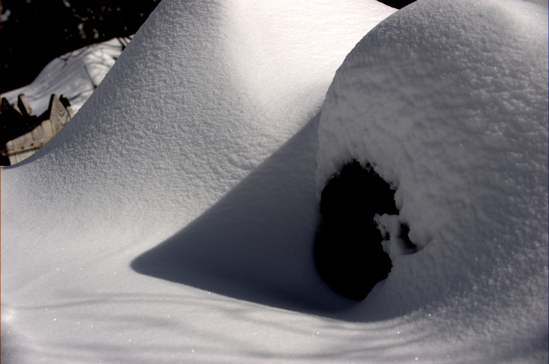_DSC7075.jpg
