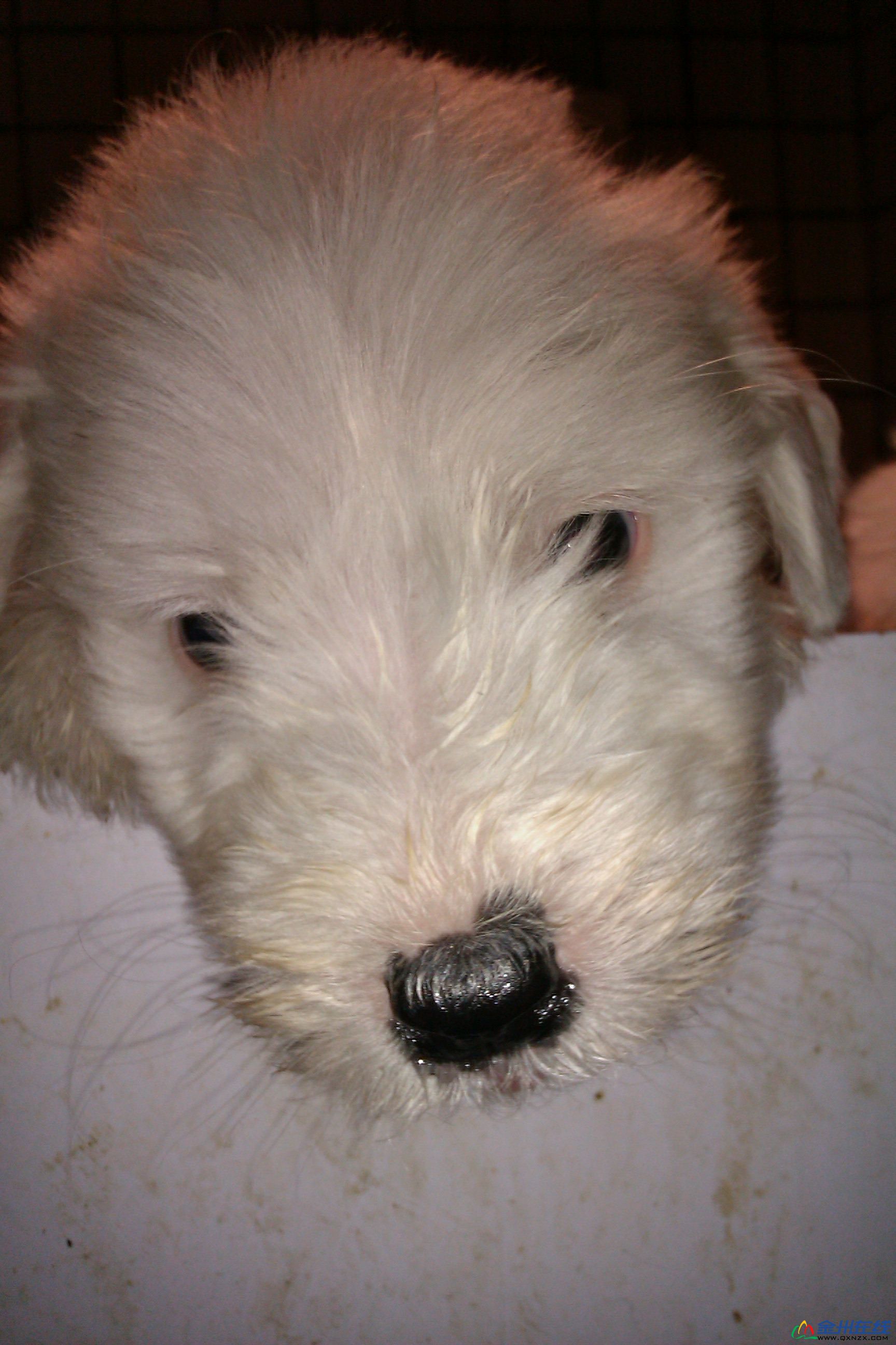 IMAG0040.jpg