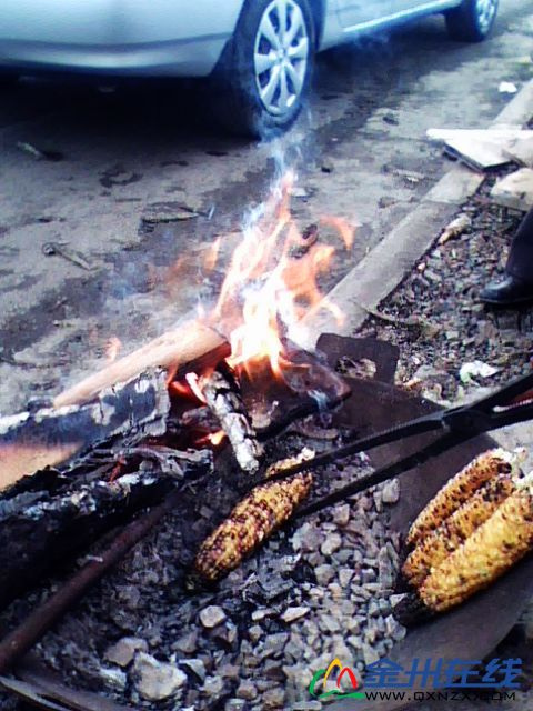 IMG0165A.jpg