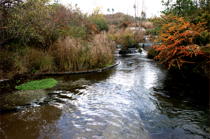 _DSC9177.jpg