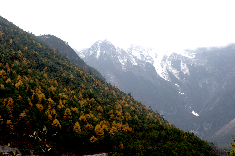 _DSC9523.jpg