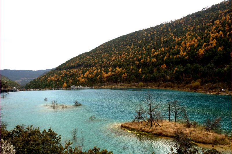 _DSC9525.jpg