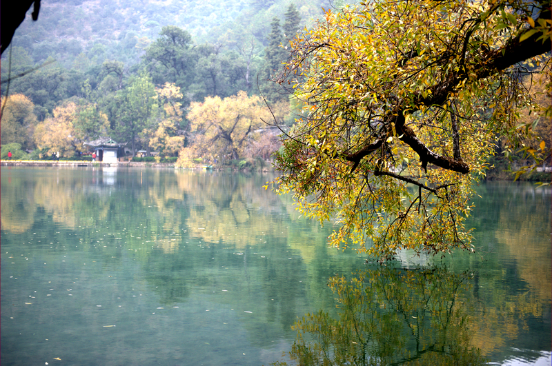 _DSC9839.jpg