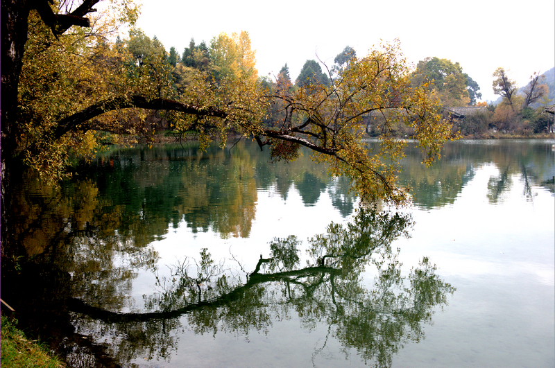 _DSC9842.jpg